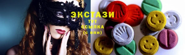 хмурый Дмитров