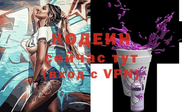 хмурый Дмитров