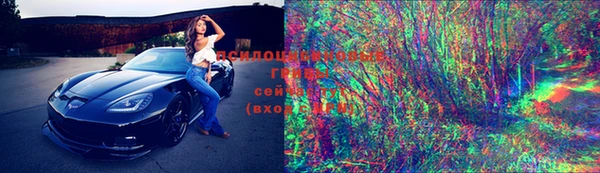 ГАЛЛЮЦИНОГЕННЫЕ ГРИБЫ Елабуга
