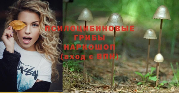хмурый Дмитров