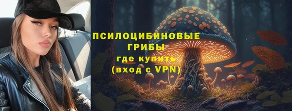 хмурый Дмитров
