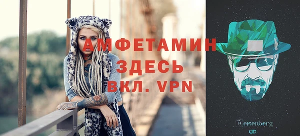 хмурый Дмитров