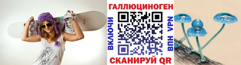 закладки  Перевоз  Псилоцибиновые грибы MAGIC MUSHROOMS 